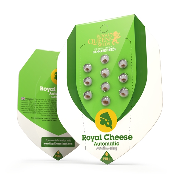 RQS Royal Cheese Auto