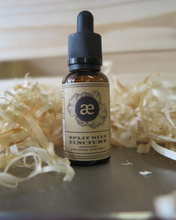 Aether Split Gill Tincture - 30ml