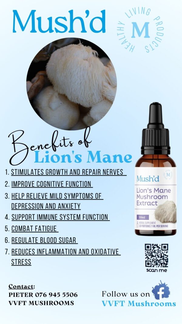 Mush'd Lions Mane Mushroom Extract 30ml - Image 2