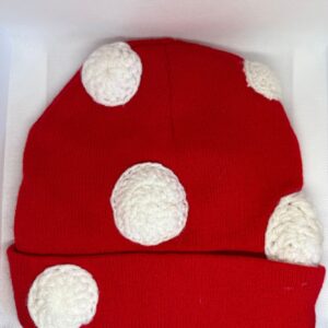 Mushroom Beanie Up-cycled