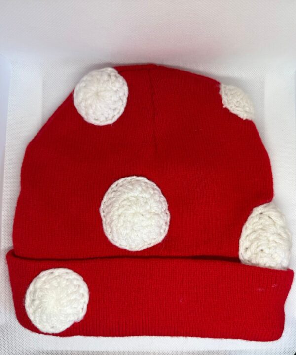 Mushroom Beanie Up-cycled