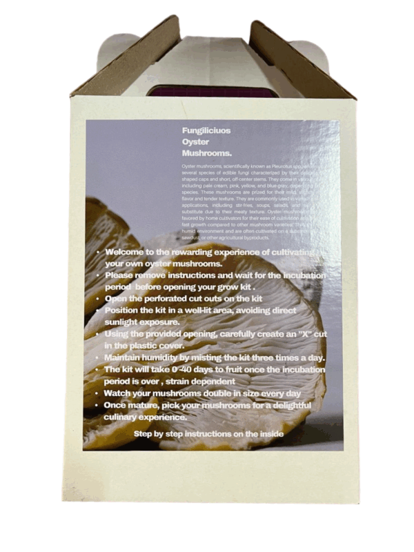 Fungilicious Grow Kit Oyster Mushroom White - Image 2