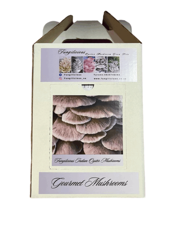 Fungilicious Grow Kit Oyster Mushroom Indian
