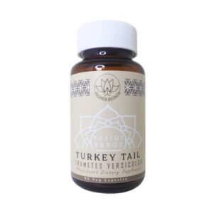 Higher Beings Turkey Tail Capsules - 60