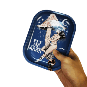 Tray Creative Pattern Fly Me To The Moon 18x14cm