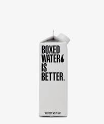 Boxed Water Carton 500 ML (still)