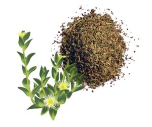 Sceletium Raw Dried Powder 3 5g